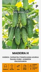 Cucumber Madeira F1 Seeds
